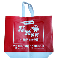 珠海LB37培训班广告袋